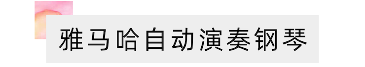 活动报道 | 远程艺术教育大师课活动—利来w66艺术家吴晓大师课